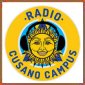 ascolta radio cusano campus in streaming