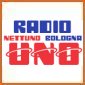 Ascoltare Radio Nettuno Bologna Uno in streaming